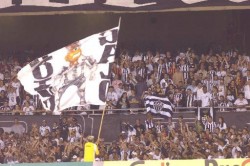 torcida-galo