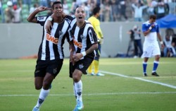 galo1